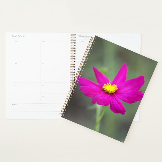 Pink Flower Planner (Display)