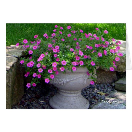Pink Flower Planter Notes (Front Horizontal)
