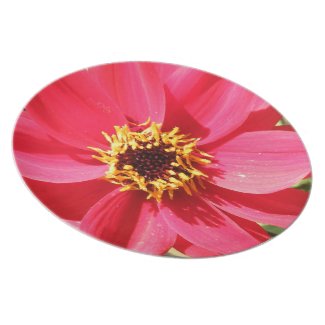 Pink Flower Plate
