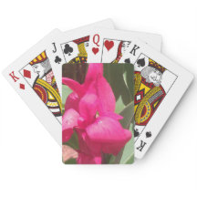 Pink Flower