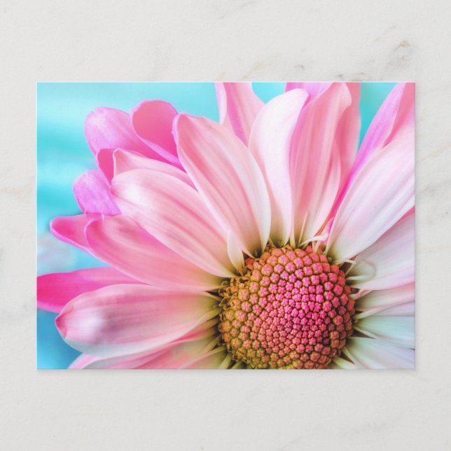 Pink flower postcard (Front)