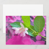 Pink flower postcard (Front/Back)