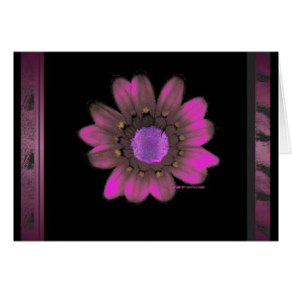 Pink Flower Power Cards