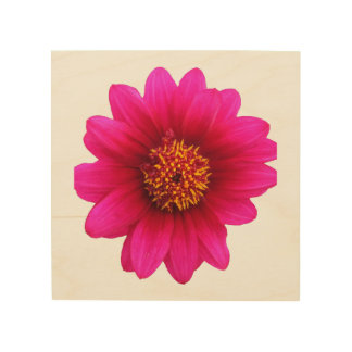 pink flower printed pillow  wood wall art