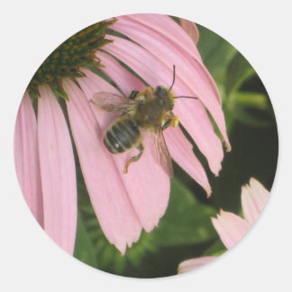 Pink Flower Sticker