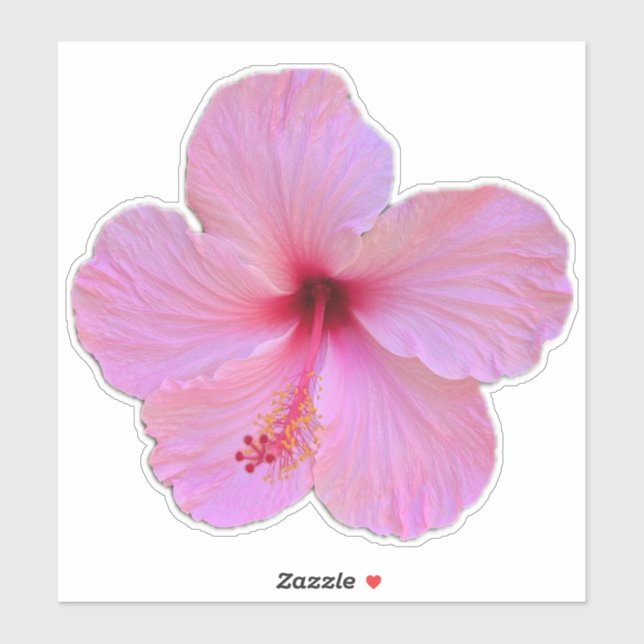 Pink Flower Sticker (Sheet)
