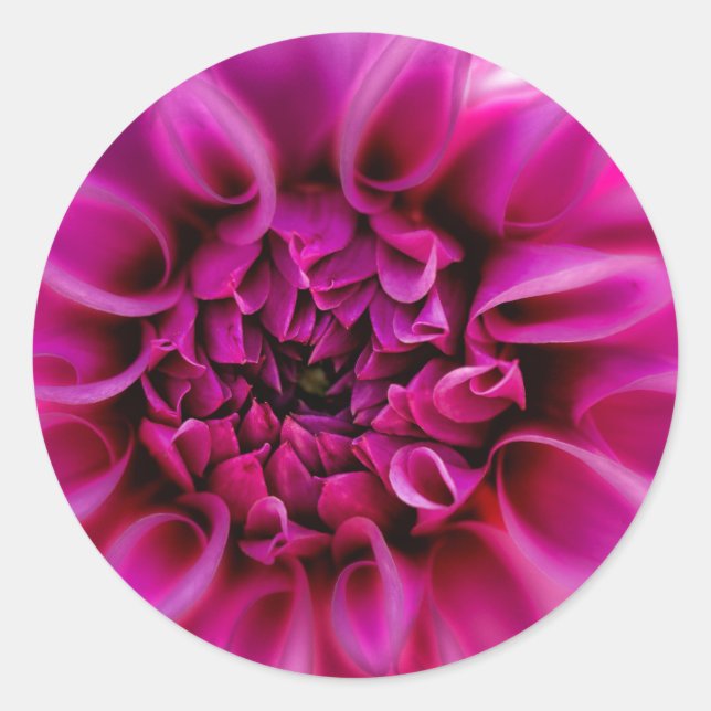 Pink Flower Sticker (Front)