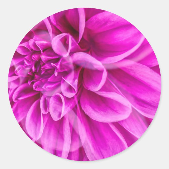 Pink Flower Sticker (Front)