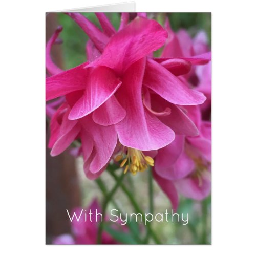 Pink Flower Sympathy Card