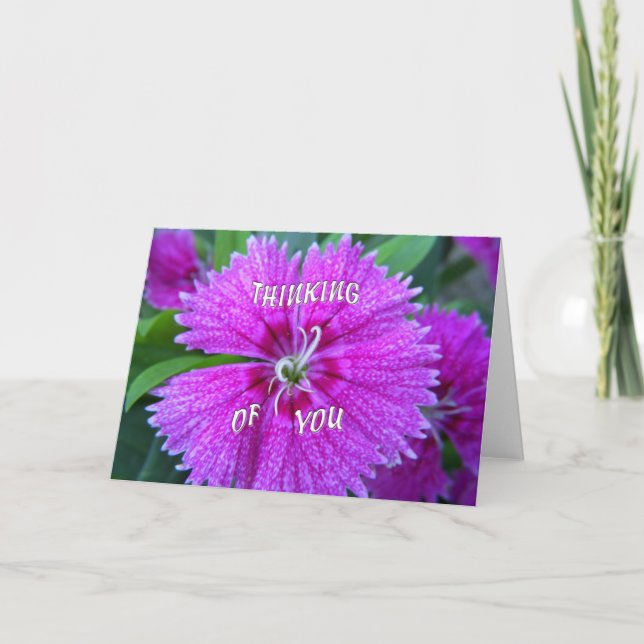 Pink Flower Thinking of You Card (Front)
