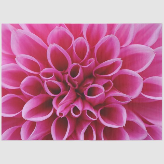 Pink Flower Tissue Paper (Front)