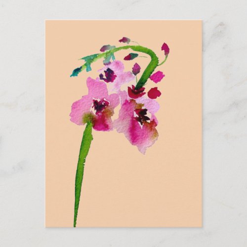 Pink flower Verbascum floral blush art Postcard