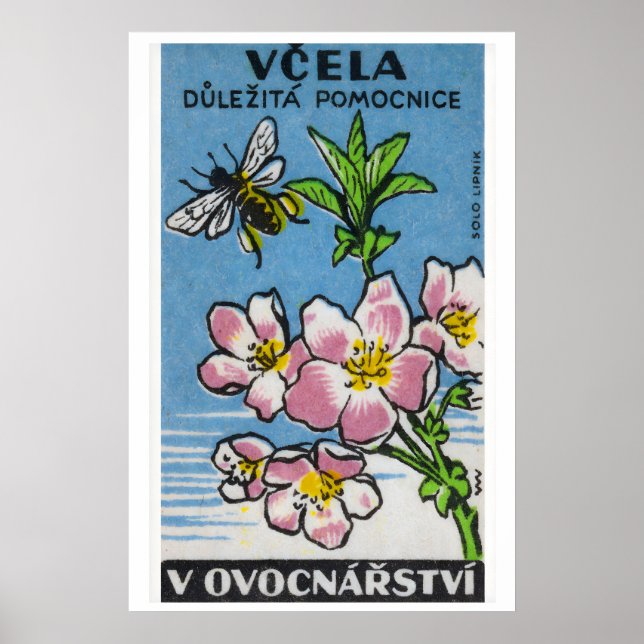 Pink Flower Yellow Bee - Matchbox Print - Czech (Front)