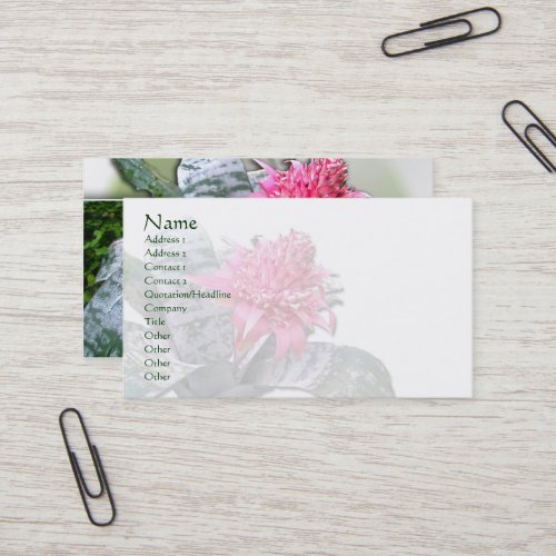 Pink Flowered Bromeliad Business Cards