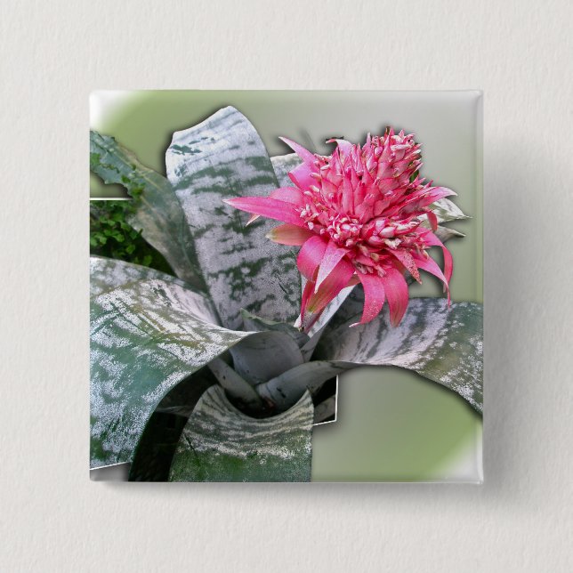 Pink Flowered Bromeliad Button (Front)
