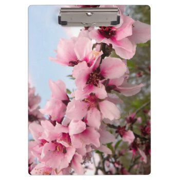 Pink Flowering Branch Clipboard by StriveDesigns at Zazzle