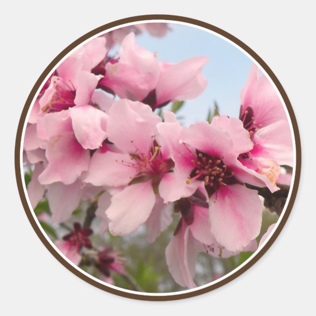 Pink Flowering Branch Stickers (Front)