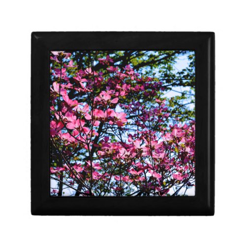 Pink flowering Dogwood tree Gift Box