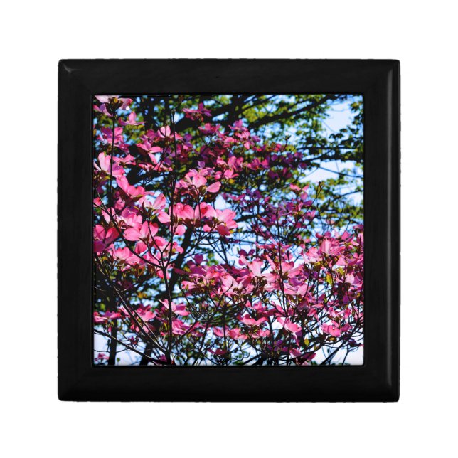 Pink flowering Dogwood tree Gift Box (Front)
