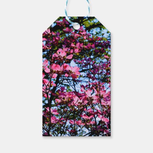 Pink flowering Dogwood tree Gift Tags