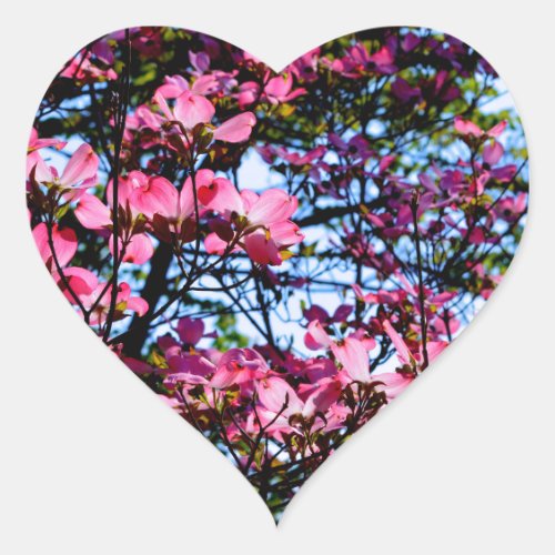 Pink flowering Dogwood tree Heart Sticker