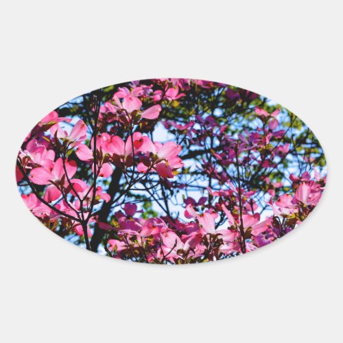Pink flowering Dogwood tree Oval Sticker