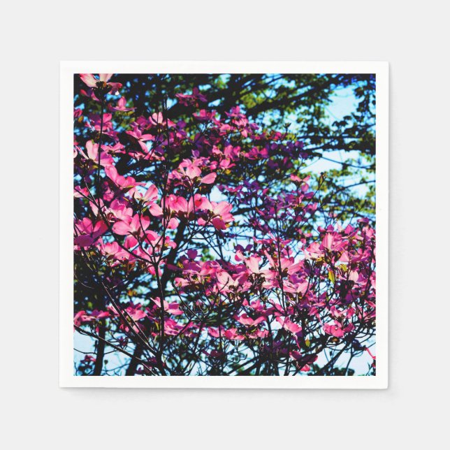 Pink flowering Dogwood tree Paper Napkins (Front)