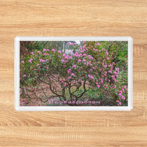 Pink Flowering Rhododendron Shrub Floral Acrylic Tray