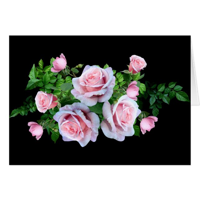Pink Flowering Rose Cards (Front Horizontal)