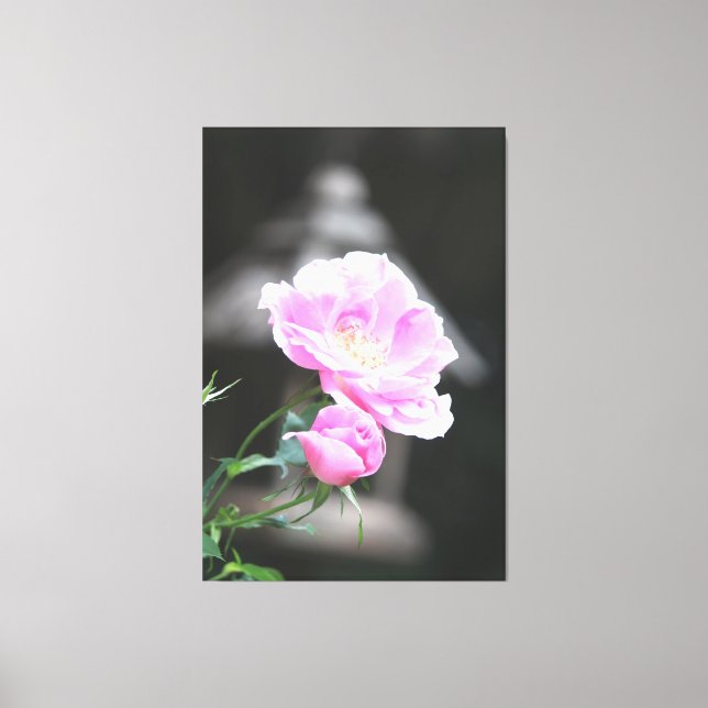 Pink Flowering Roses Canvas Print (Front)