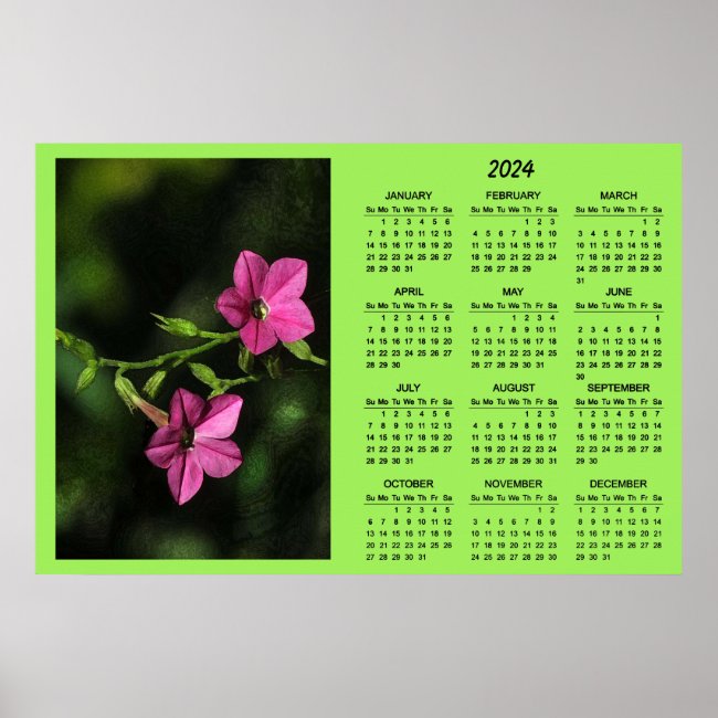 Pink Flowering Tobacco Flower 2024 Calendar Poster
