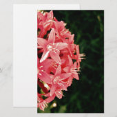 Pink Flowers (Front/Back)