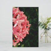 Pink Flowers (Standing Front)