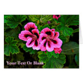 Pink Flowers 1 (Front Horizontal)