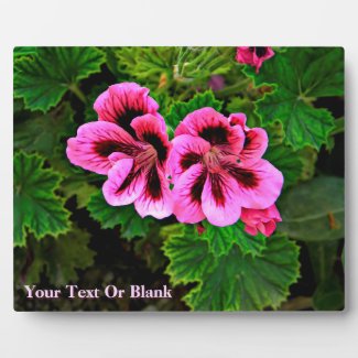 Pink Flowers 1