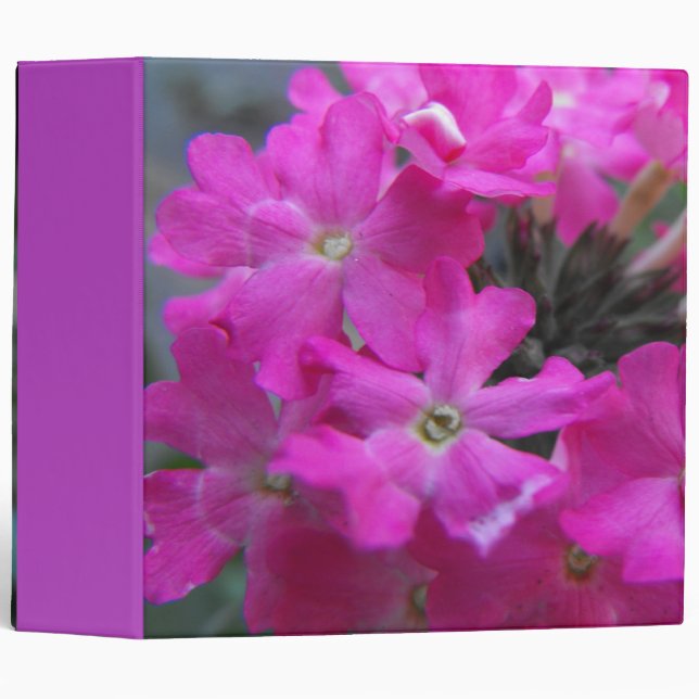 pink flowers 3 ring binder (Front/Spine)