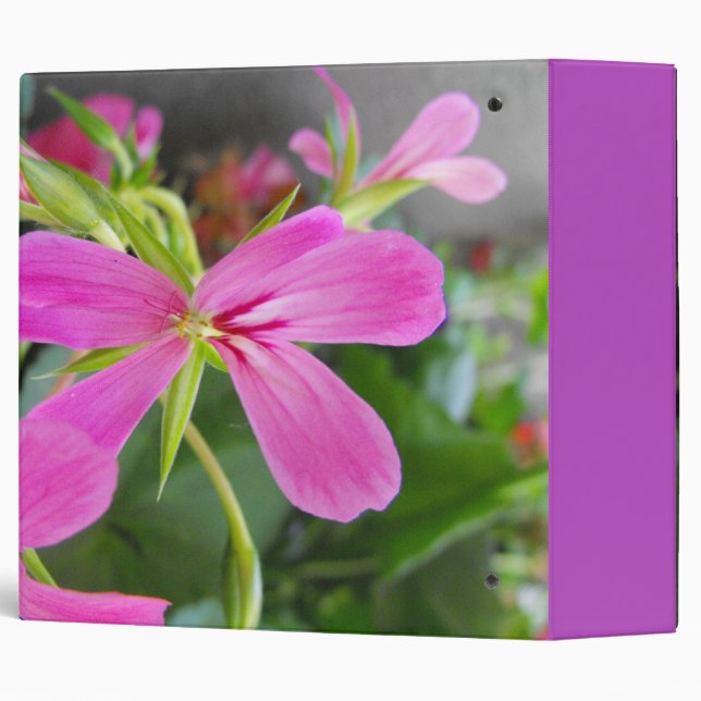 pink flowers binder (Back/Spine)