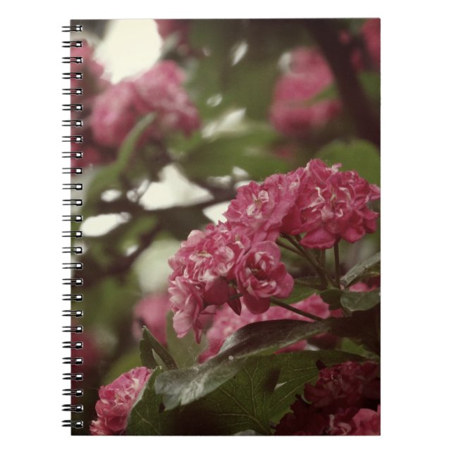 Pink Flowers Blosoom Photo Notebook (80 Pages B&W) (Front)