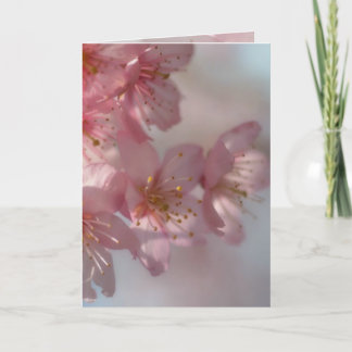 Pink Flowers Card