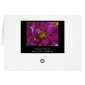 Pink Flowers Cards (Back Horizontal)