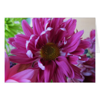 Pink Flowers Cards