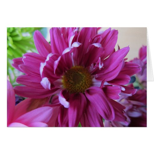 Pink Flowers Cards (Front Horizontal)