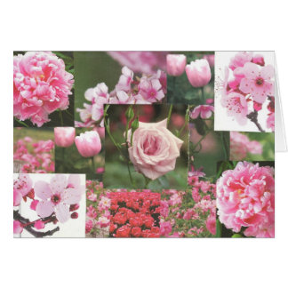 Pink Flowers Cards