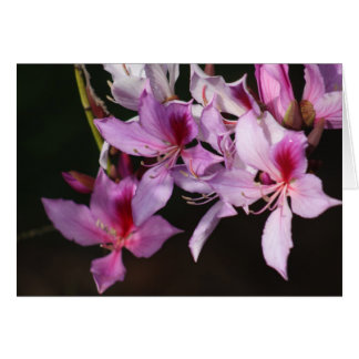 Pink flowers cards