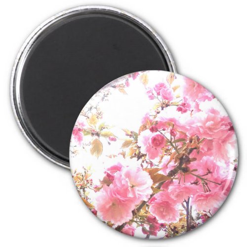 Pink Flowers Cherry Blossom Floral Patterns Sakura Magnet
