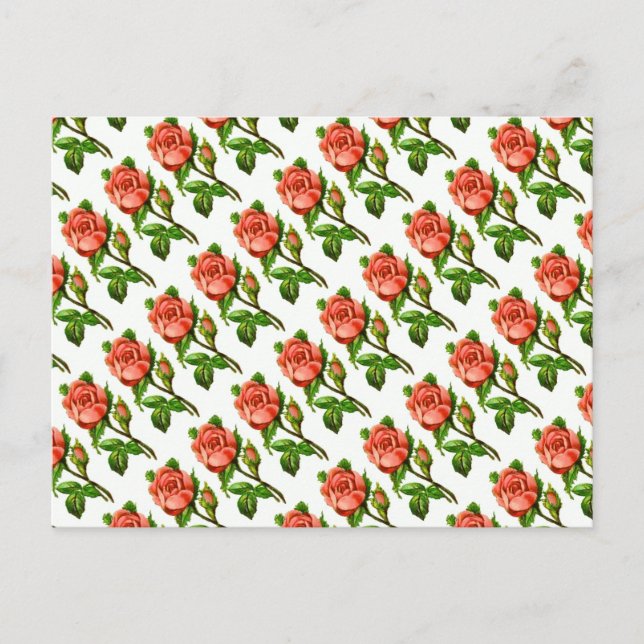 Pink Flowers Floral English Roses Postcard (Front)