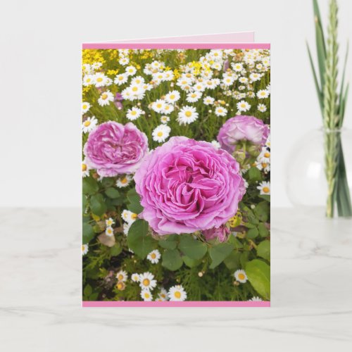 Pink Flowers Floral Rose Roses Daisy Greetings Card