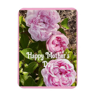 Pink Flowers Floral Rose Roses Mothers Day Card Magnet