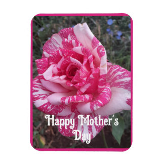 Pink Flowers Floral Rose Roses Mothers Day Card Magnet