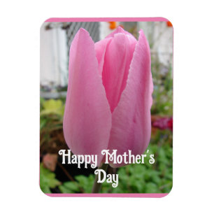 Pink Flowers Floral Tulip Tulips Mothers Day Card Magnet